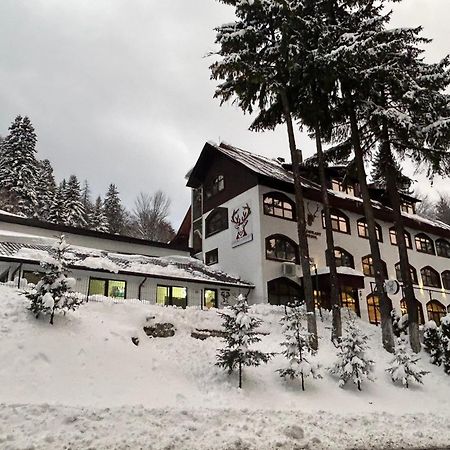 Cerbul Chalet Accommodation & Wellness Rîşnov エクステリア 写真