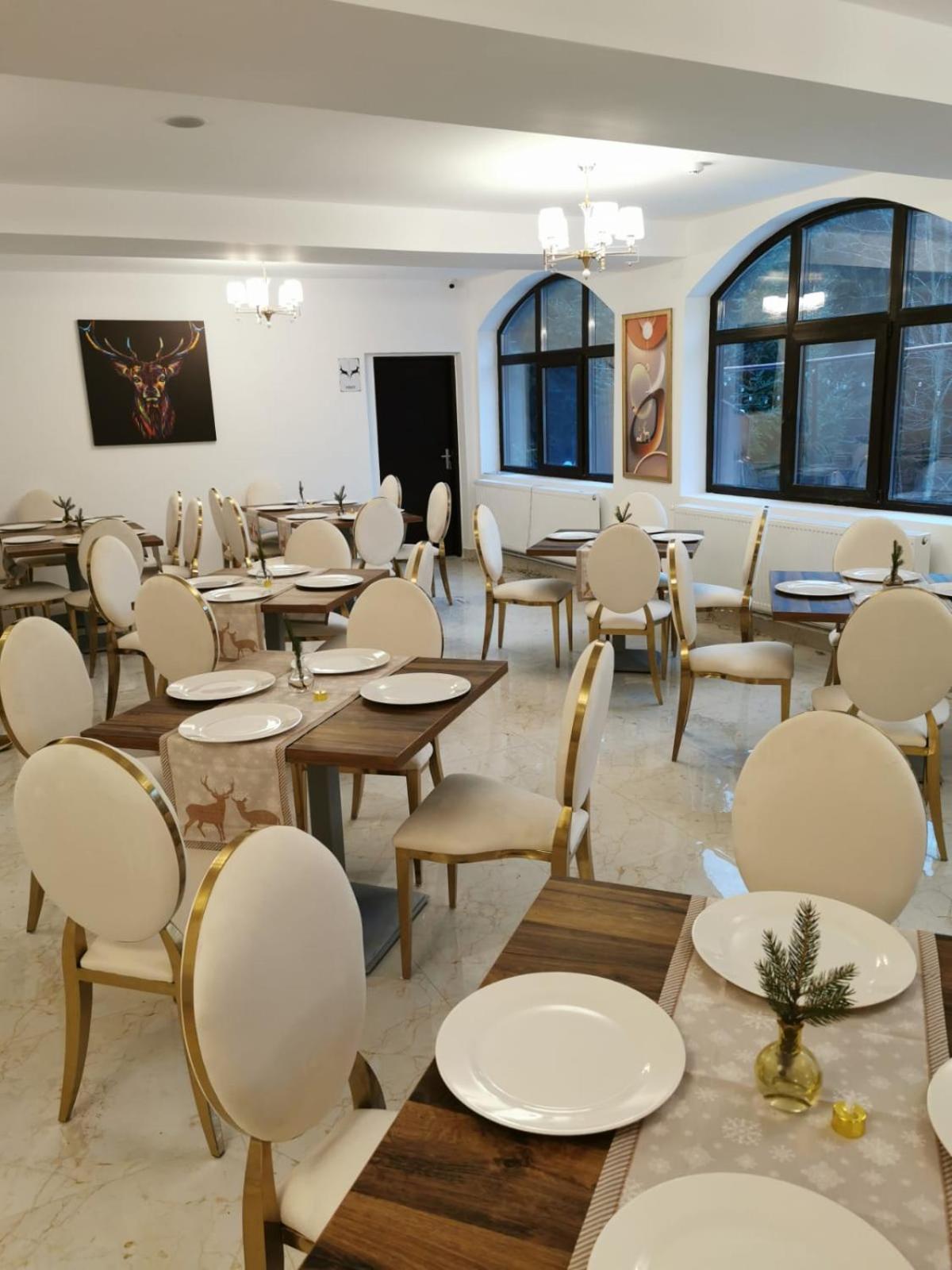 Cerbul Chalet Accommodation & Wellness Rîşnov エクステリア 写真
