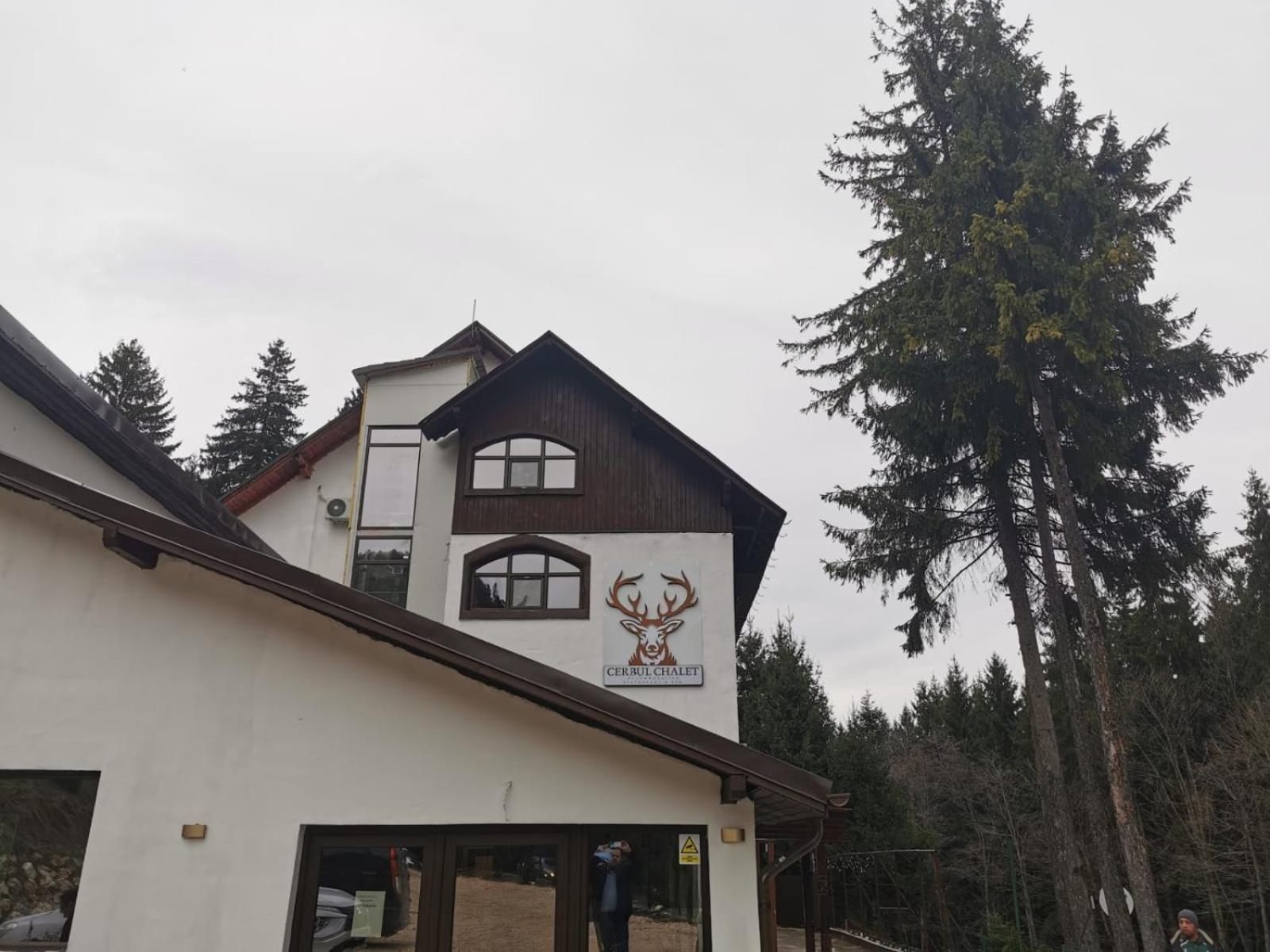 Cerbul Chalet Accommodation & Wellness Rîşnov エクステリア 写真