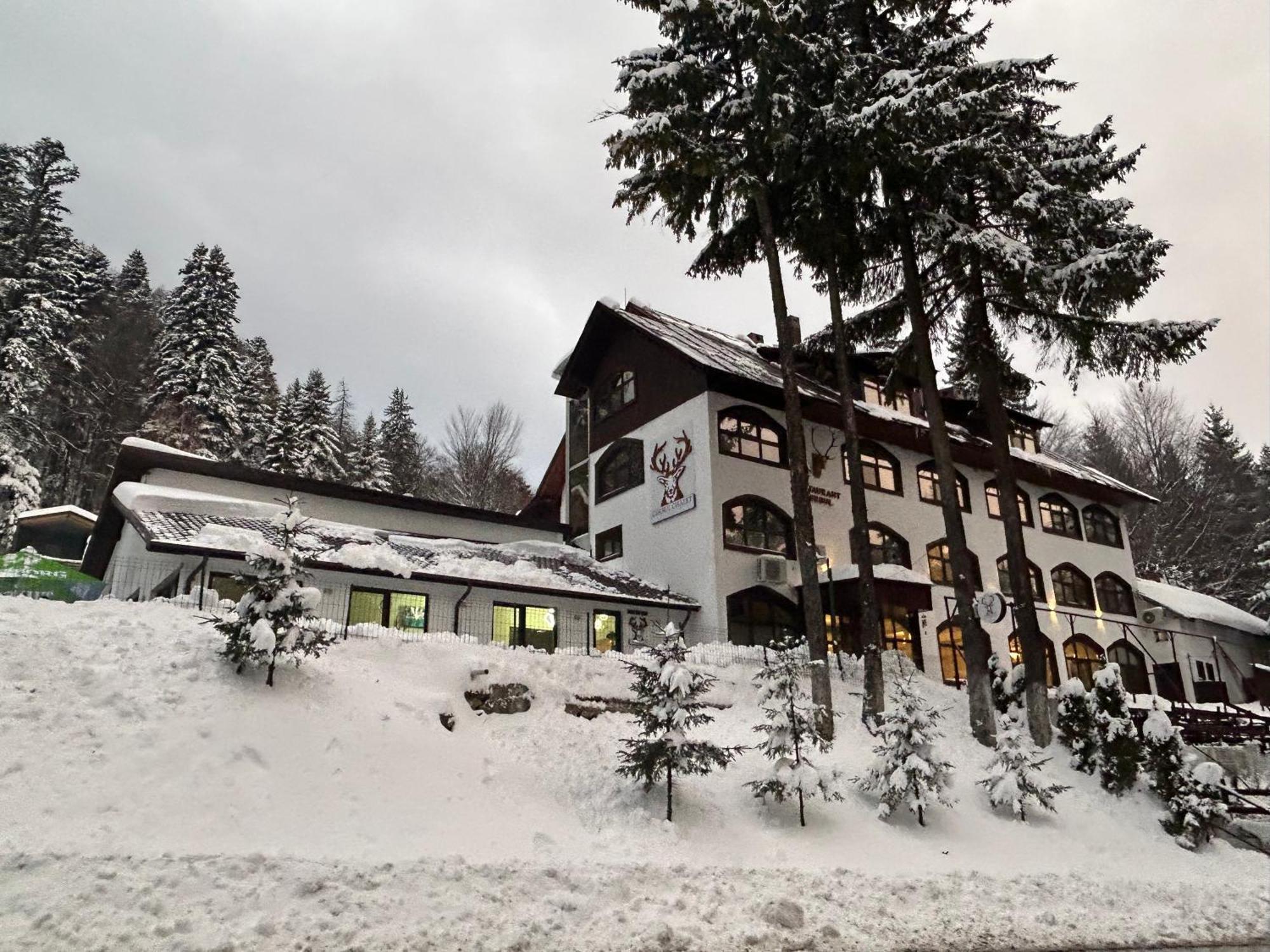 Cerbul Chalet Accommodation & Wellness Rîşnov エクステリア 写真
